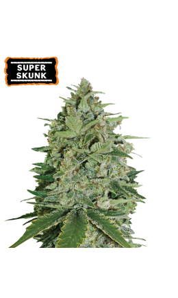 Super Skunk Fem