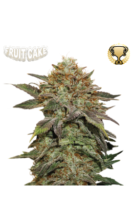 Fruit Cake© Fem