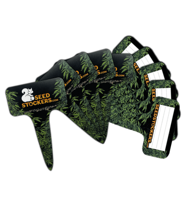 🏷️ Étiquettes de Culture | Lot de 10 | Acheter sur seedstockers.fr 🐿️