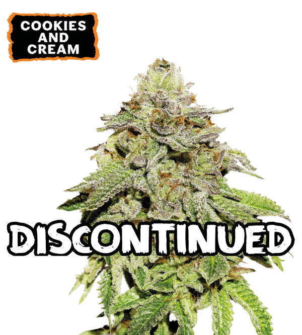 🪴 Cookies & Cream | Graines de Cannabis Féminisées | Acheter sur seedstockers.fr 🐿️