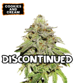 🪴 Cookies & Cream | Graines de Cannabis Féminisées | Acheter sur seedstockers.fr 🐿️
