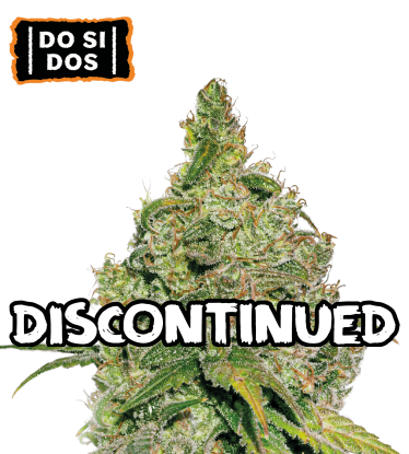 🪴 Do Si Dos | Graines de Cannabis Féminisées | Acheter sur seedstockers.fr 🐿️