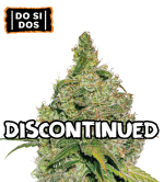 🪴 Do Si Dos | Graines de Cannabis Féminisées | Acheter sur seedstockers.fr 🐿️