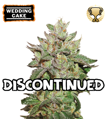 Wedding Cake Graines de cannabis féminisées