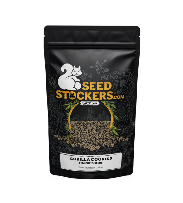 🪴 Gorilla Cookies | Graines de cannabis Féminisées | Achetez sur Seedstockers.fr 🐿️