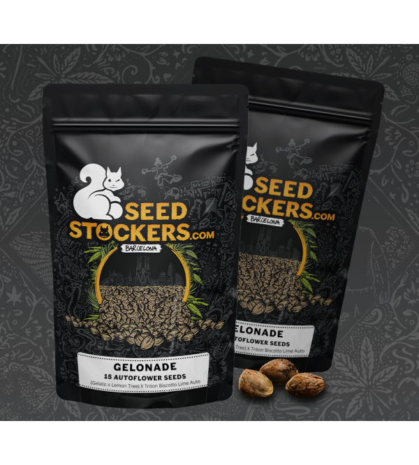 🍋 Graines Gelonade Autofloraison | Seedstockers.fr 🐿️