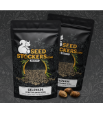🍋 Graines Gelonade Autofloraison | Seedstockers.fr 🐿️