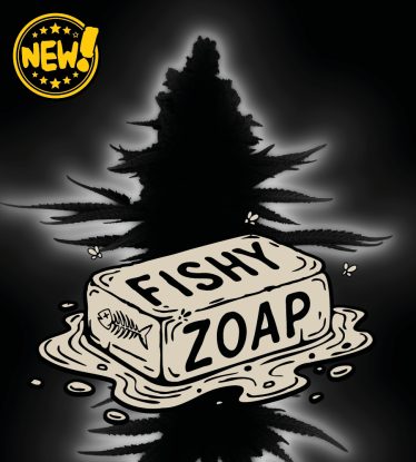🪴 Fishy Zoap© | Graines Féminisées de Cannabis | Seedstockers.fr 🐿️