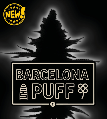 🪴 Barcelona Puff© | Graines Féminisées de Cannabis | Seedstockers.fr 🐿️