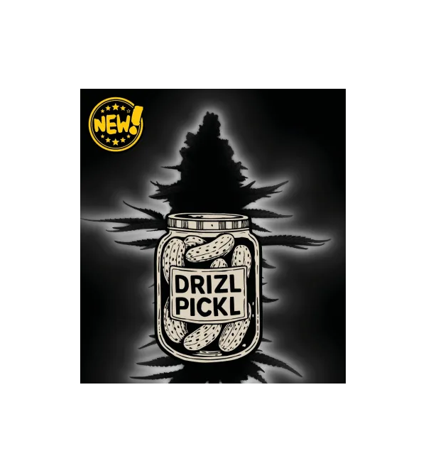 🪴 Drizl Pickl© | Graines de cannabis à autofloraison | Seedstockers.fr 🐿️