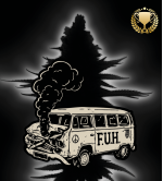 F.U.H (F*cked Up Hippy)© Autofloraison | Graines de Cannabis | Seedstockers.fr 🐿️