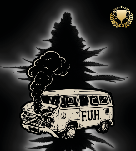 🪴 F.U.H (F*cked Up Hippy)© | Graines de Cannabis Féminisées | Seedstockers.fr 🐿️