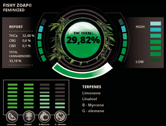 THC-fishy-zoap-F.png