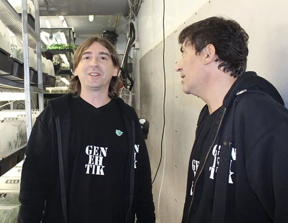 David et Albert, de Genehtik Seeds