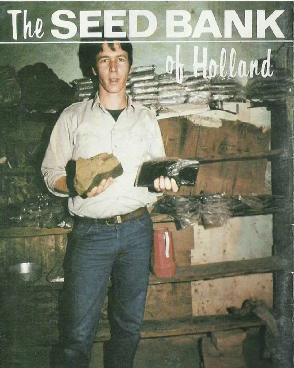 Couverture d'un catalogue vintage de graines de cannabis avec Nevil Schoenmakers
