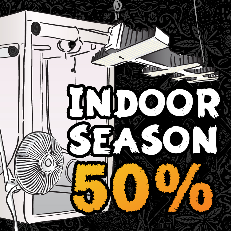 indoor season