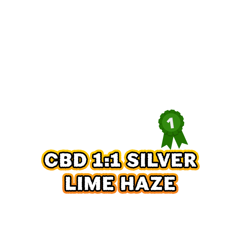 23-silver-lime-haze-1-best-cbd