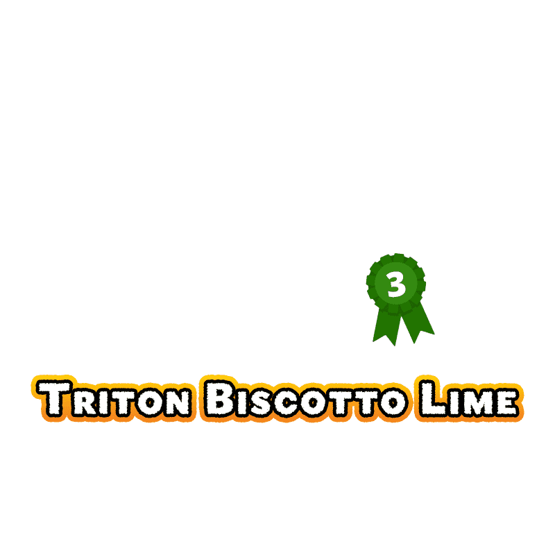 23-triton-biscotto-lime-2-best-new-strain
