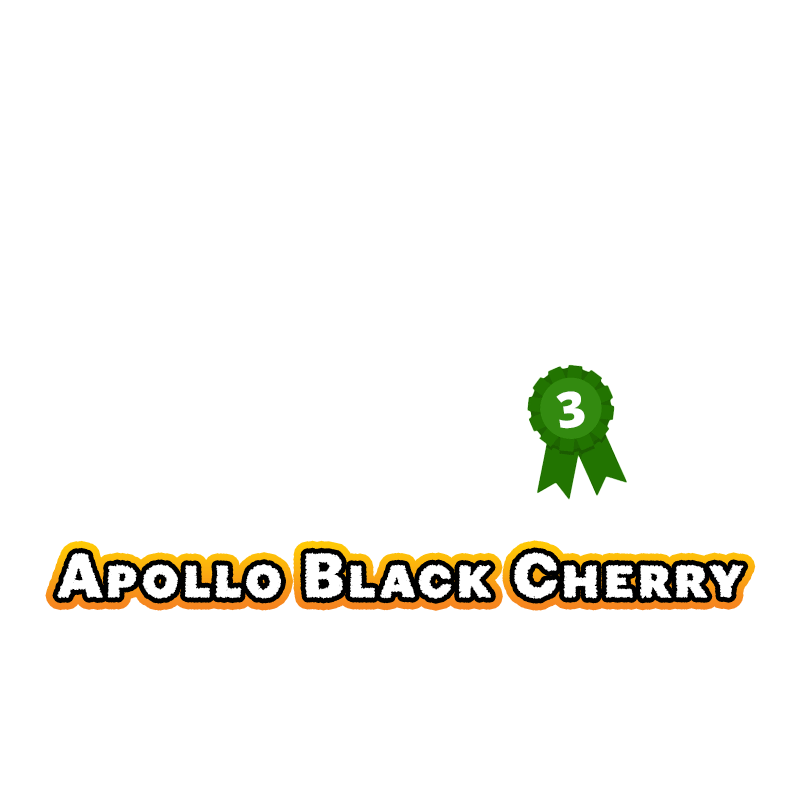 23-apollo-black-cherry-3-best-dry